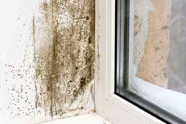 Why Mould Prevention is Important During Colder Months