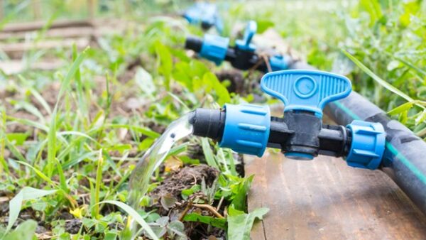 Drip Irrigation: Is It Right for Your Garden? Find Out Now
